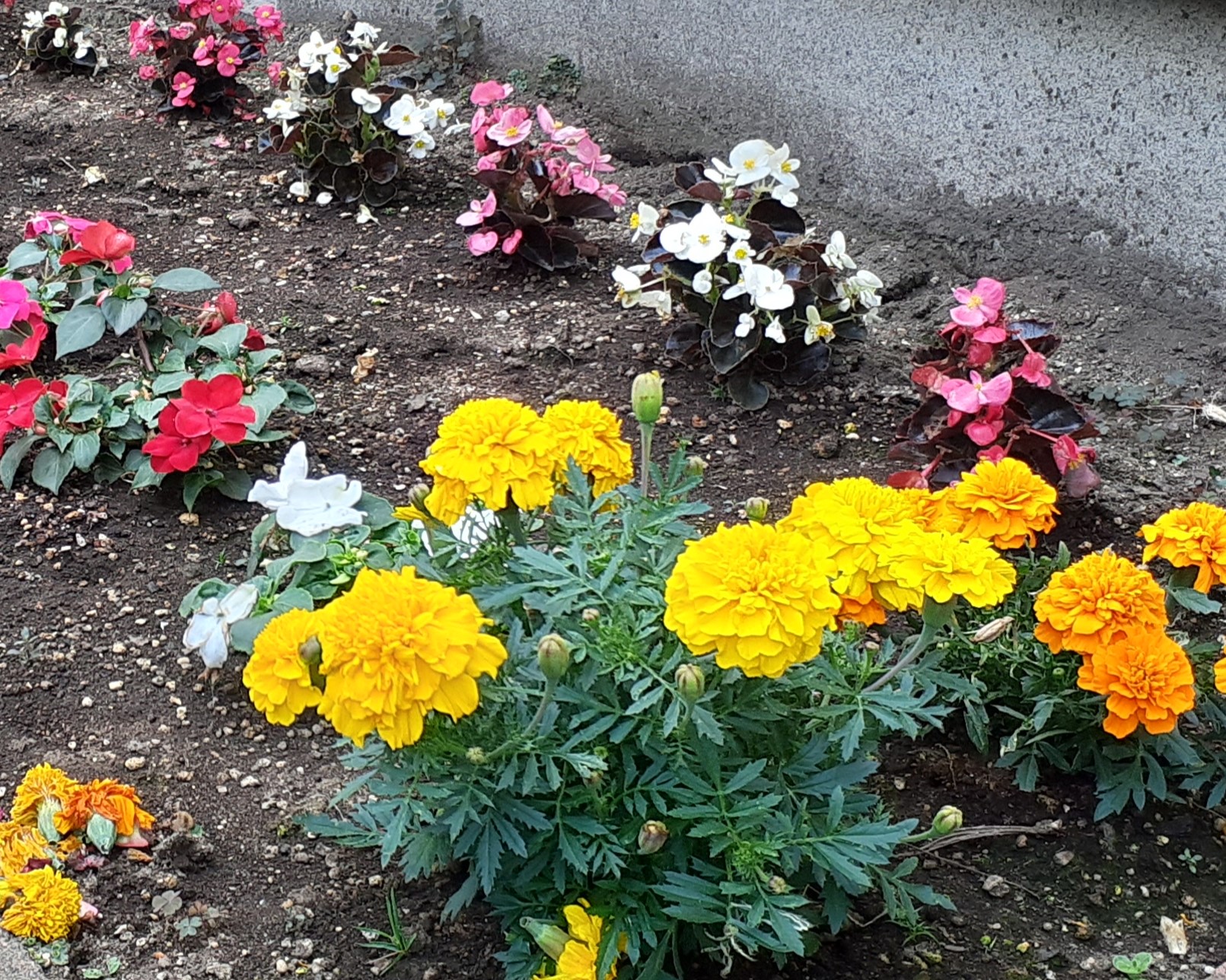 小さな花壇